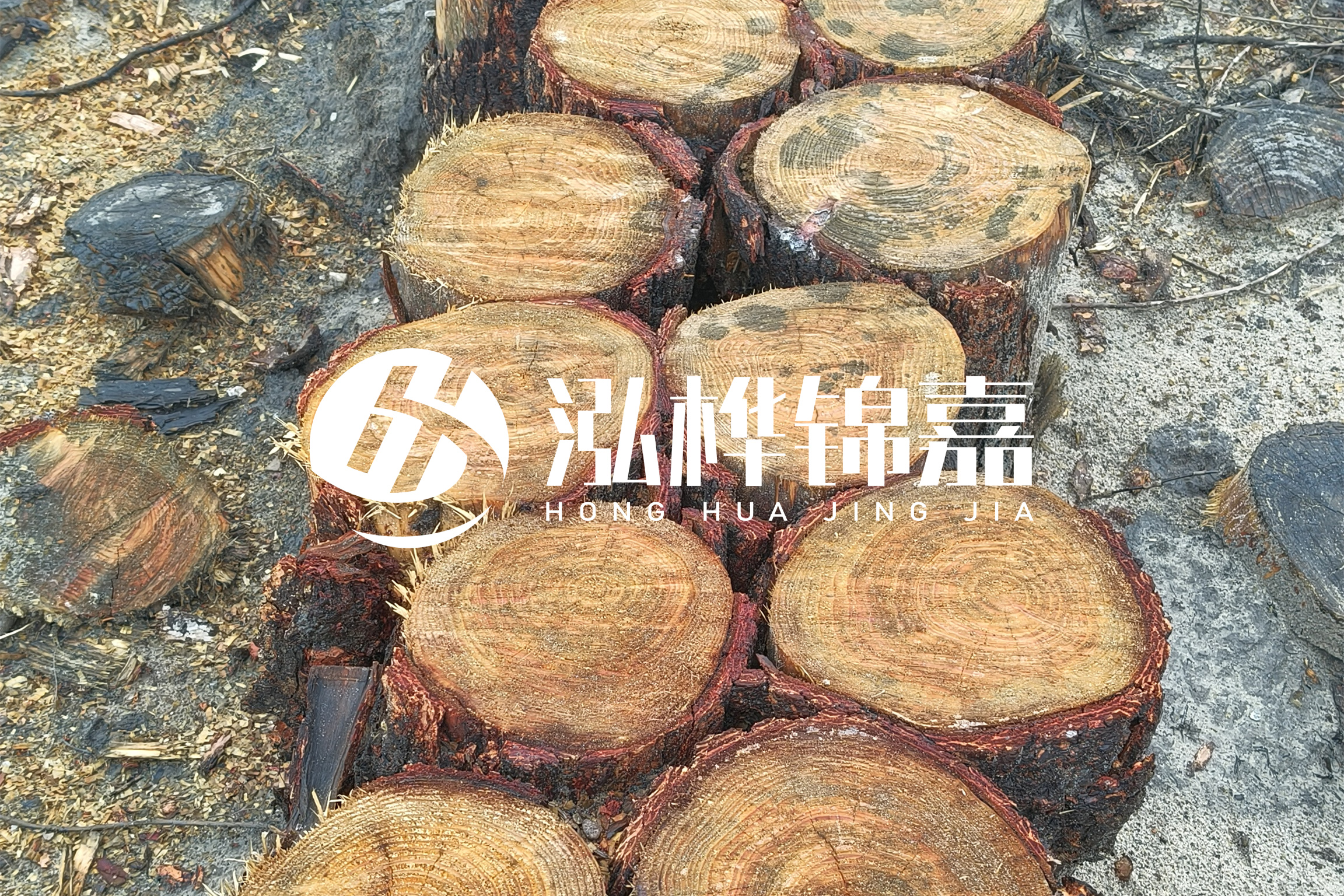 浙江臺(tái)州有清淤的公司嗎？浙江臺(tái)州有清淤施工隊(duì)嗎？