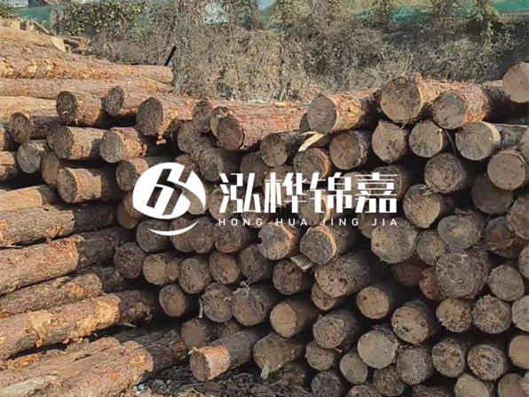 落葉松木材的主要產(chǎn)地在哪里？為什么比其他松木更耐腐蝕？