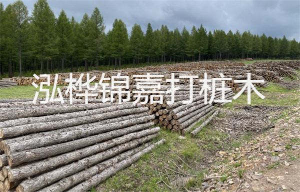 松木樁施工，1523942Z 空間，打造獨特景觀